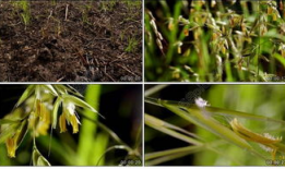 青草免费视频,畅享无界限的视听盛宴